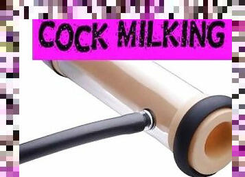 Cock Milking