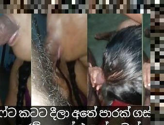 ????? ??? ????? ???? ??? ????? ???? ????? srilankan new husband and wife lovely sex video familylife