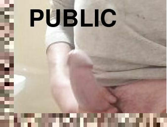 FPOV Public Restroom Jackoff