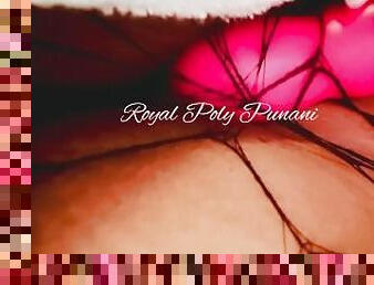 Royal Poly Punani ~ Pussy Play