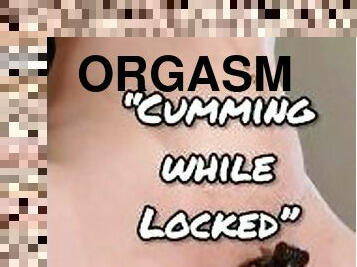 Pussyboy 101: Cumming While Locked