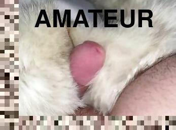 masturbation, amateur, ejaculation, fétiche, solo