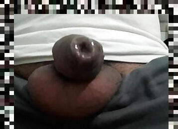 Dick Cock and full Balls