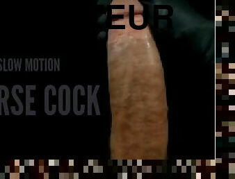 Amateur Solo Male Masturbation  Big White Cock  POV Cumshot  Big Dick stepdaddy  Slow Motion