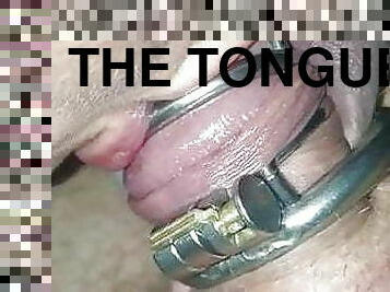 The tongue