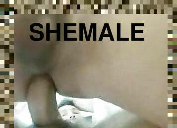 transsexuelle, amateur, anal, couple, brésil, ladyboy, chevauchement