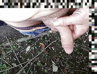 masturbation, en-plein-air, pisser, public, amateur, énorme-bite, gay, branlette, ejaculation, minet