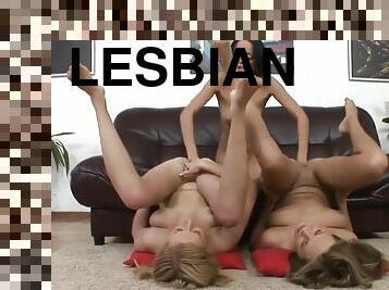 päsťovanie, lesbické, fetišistické, exotické