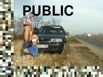 nudista, público, coche