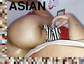 asian, anjing