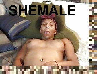 Shemale 357