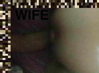 wife 4
