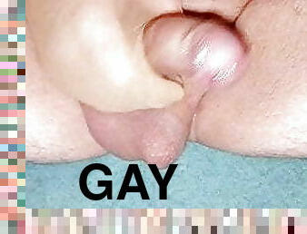 gay, nylon