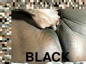 grosse, chatte-pussy, black, belle-femme-ronde, joufflue