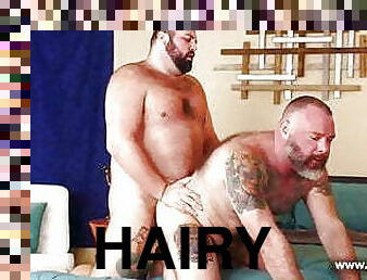 Hairy Daddy Muscle Bear Fucked