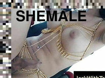 shemale, amatør, latina, webkamera