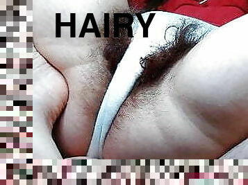 Super hairy Bush