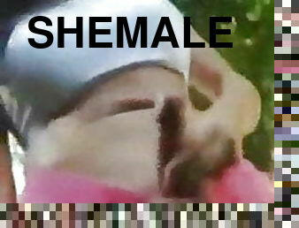 Horny Shemale 241