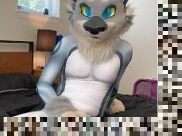 A horny lynx jerks off in his petsuit