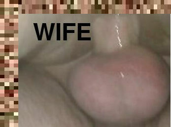 Pounding the wife's pussy