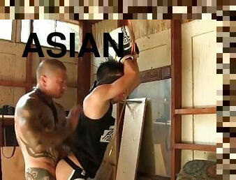 asiático, anal, chupanços, pénis-grande, brinquedo, gay, garganta-funda, bdsm, escravidão, tatuagem