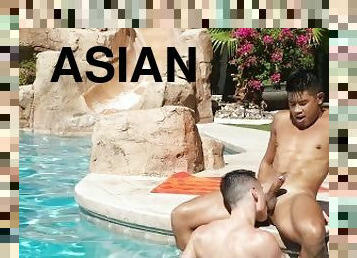 asiatisk, pikslikkeri, bøsse, spiller, deepthroat, pool, nosser, pik, suttende