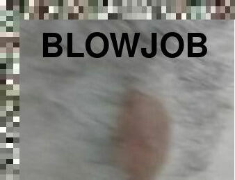 blowjob-seks-dengan-mengisap-penis, homo, mobil, nakal, pacar-cowok, penis, pengisapan
