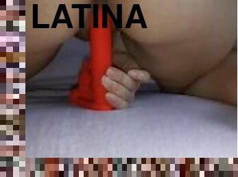 latino, vagina