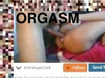 orgasmo, cona-pussy, amador, anal, penetração-de-braço, bdsm, ejaculação, webcam, escravidão