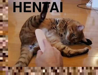 orgasmo, cona-pussy, esguincho, brinquedo, japonesa, hentai, incrível