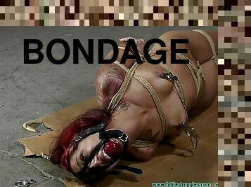 Brutal Hogtie In The Garage