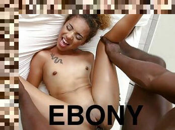 Young Ebony Spinner Gets Fucked By Black Hunged Guy