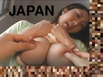 japonais, lait, en-lactation