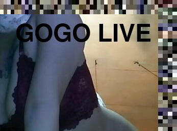 Gogo live annisa quarter 2019