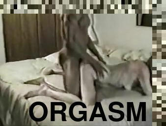 orgasmo, mijando, swingers, amador, ébona, interracial, preto, buraco-velho