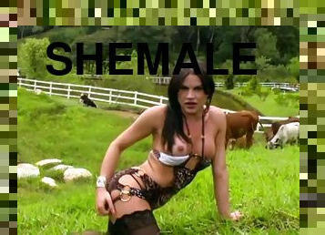 Shemale cowgirl on the farm stroking her boner