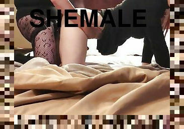 shemale, strap-on, amatör, anal, ladyboy, dominans, femdom, hårt