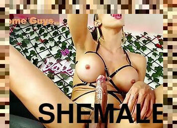 Shemale Webcam 524