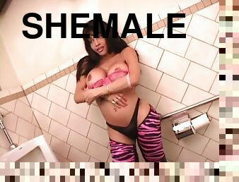 gros-nichons, public, transsexuelle, anal, hardcore, latina, joufflue, cognage, toilette, néerlandais