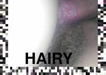 Hairy pussy 