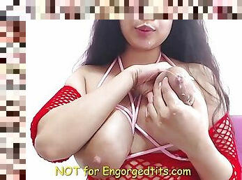 payu-dara-besar, gadis-indian, bdsm, comel-cute, perhambaan, susu, menyusu