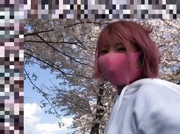 SAKURA ???????????????????????????????????????????