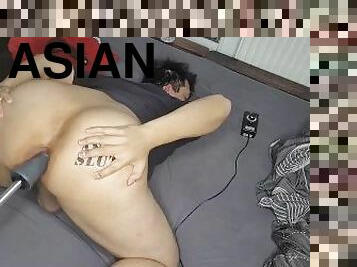 asian, anjing, alat-kelamin-wanita, dubur, interracial, homoseksual, european, euro, mesin, solo