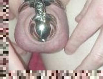 Inverted chastity cage experiment