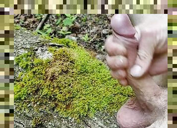 masturbation in the forest on a log