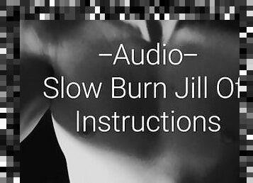 Audio Only Slow Burn and Cum Countdown Jill Off Instructions (JOI)