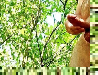 masturbation, orgasme, en-plein-air, public, ejaculation-sur-le-corps, branlette, ejaculation, bite, clignotant