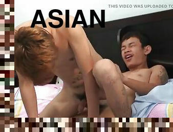 asiatisk, pissing, anal, homofil, rumpe-butt, twink, tattoo